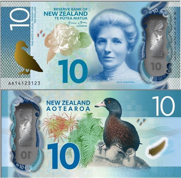 Buy fake NZD online